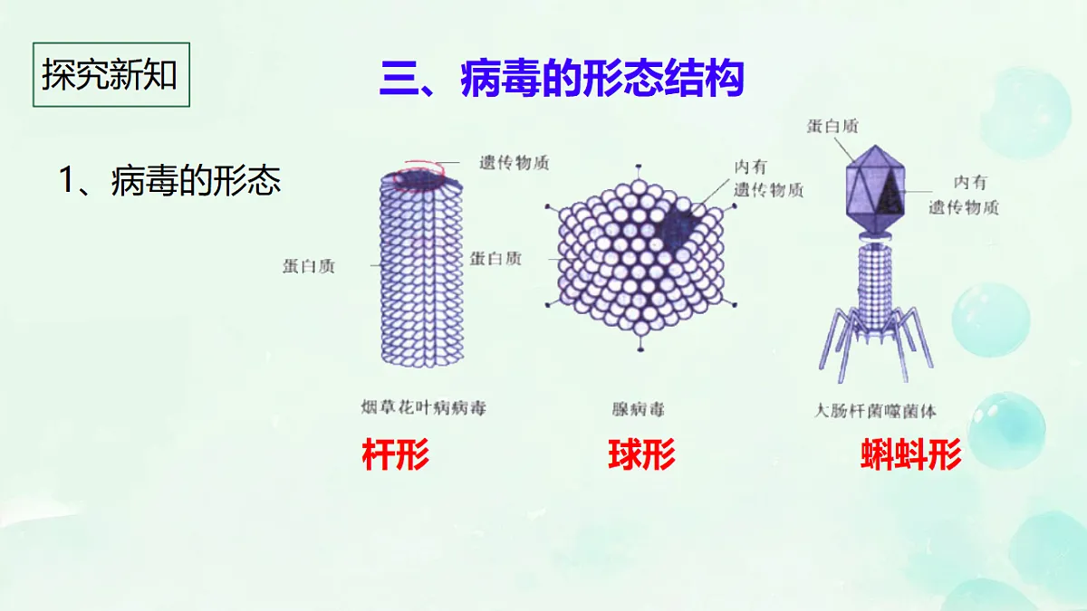 17681761第7页