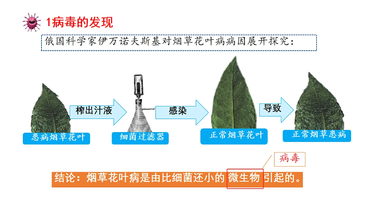 17681762第4页