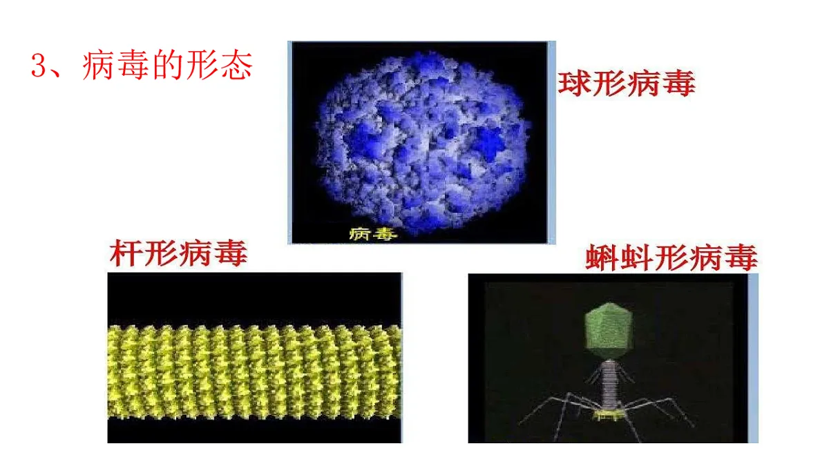 17681762第7页