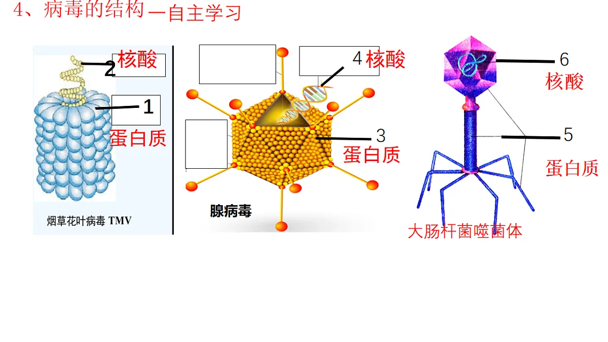17681762第8页