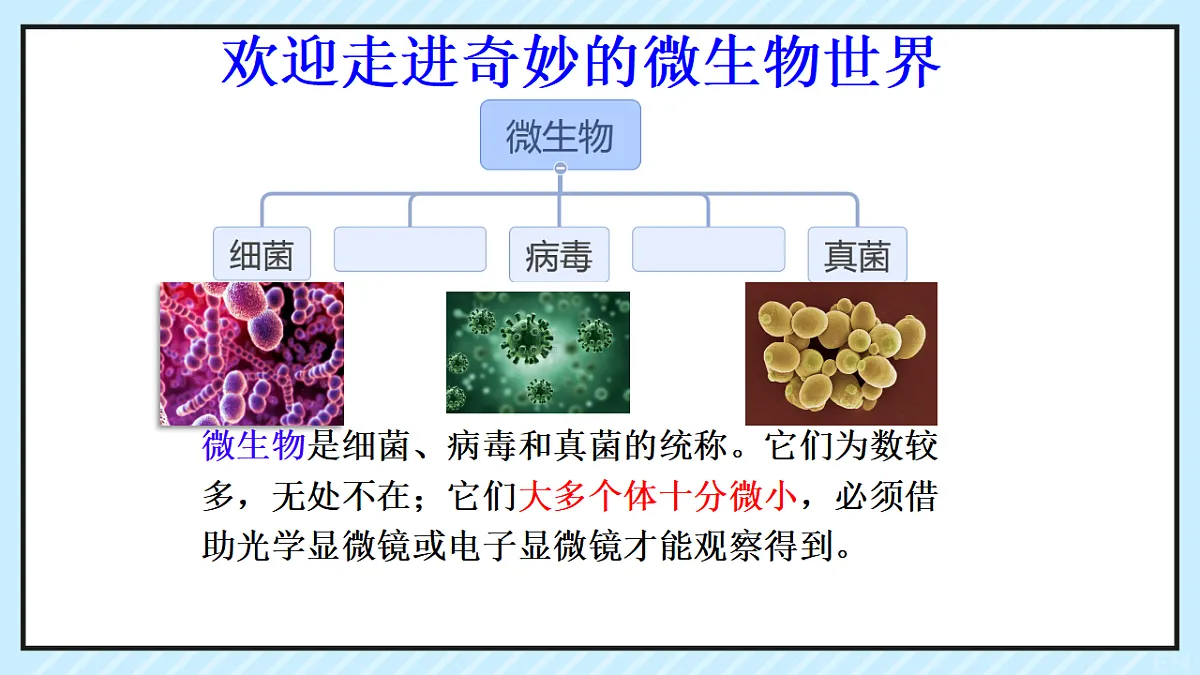 17681763第1页