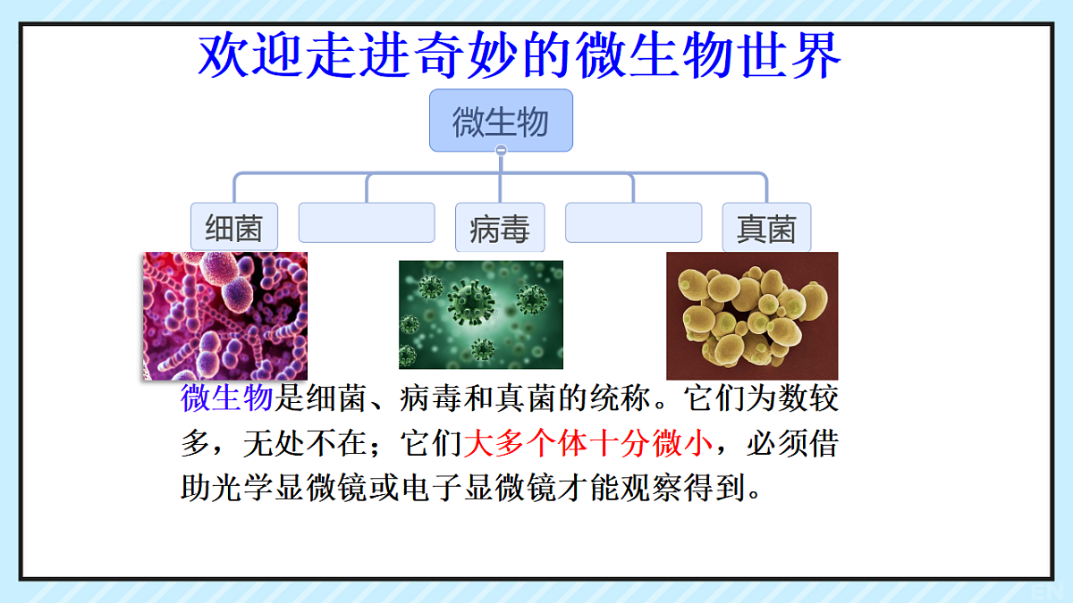 17681763第1页