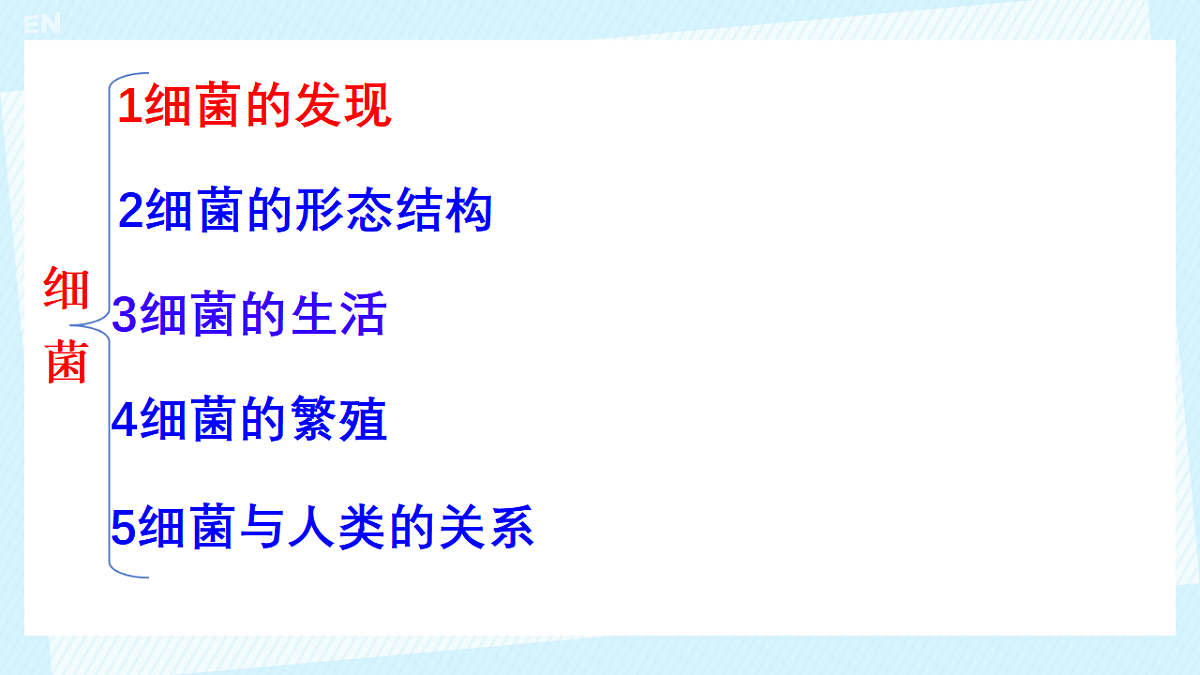 17681763第4页