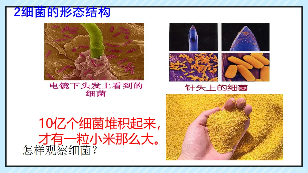 17681763第5页