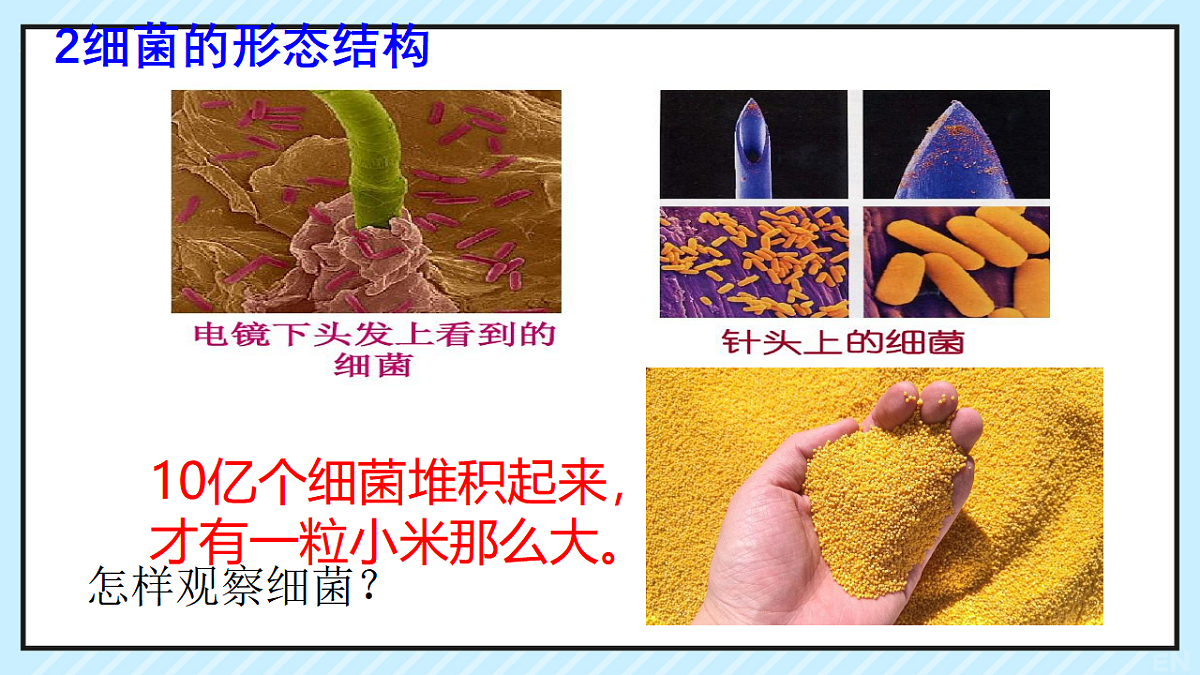 17681763第5页