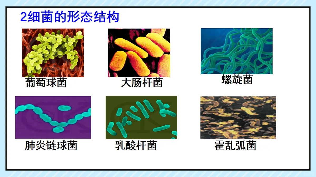 17681763第7页