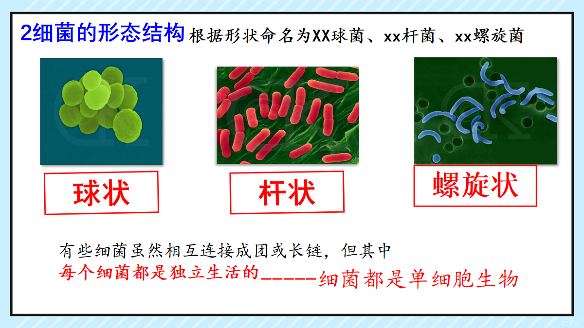 17681763第8页