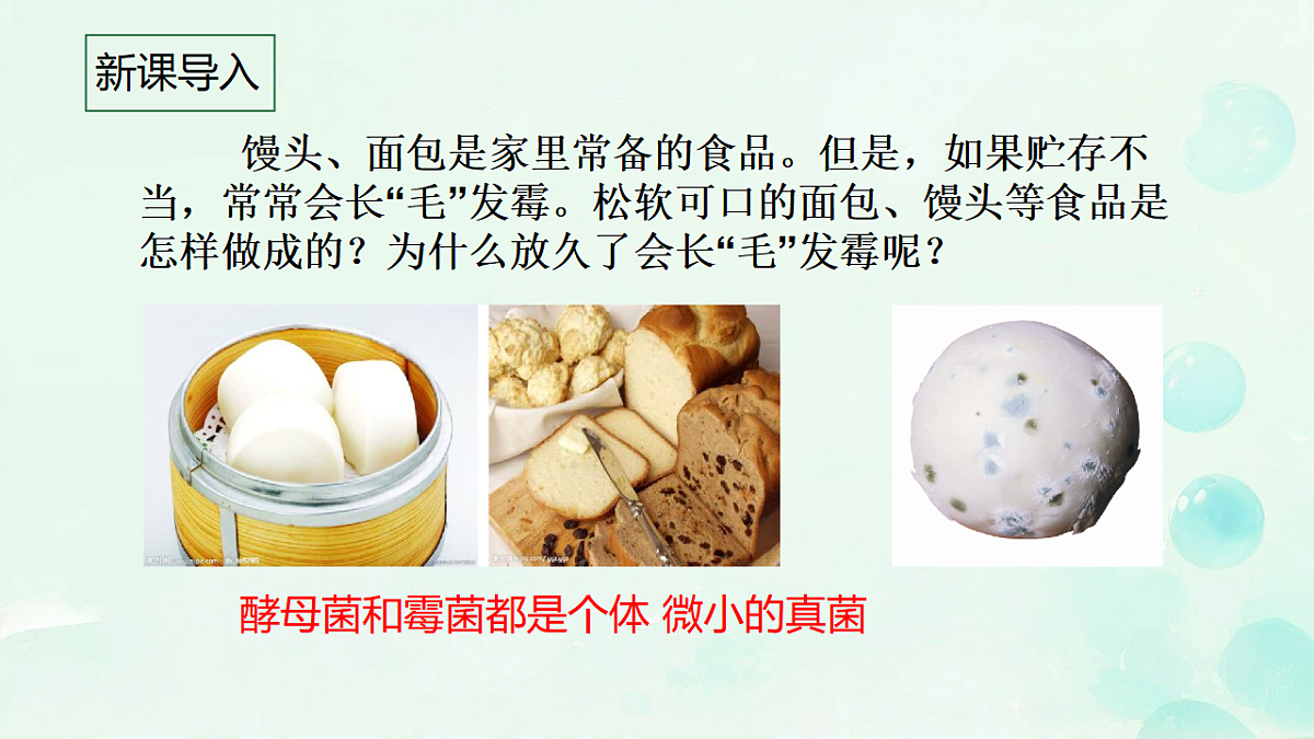 17681850第3页