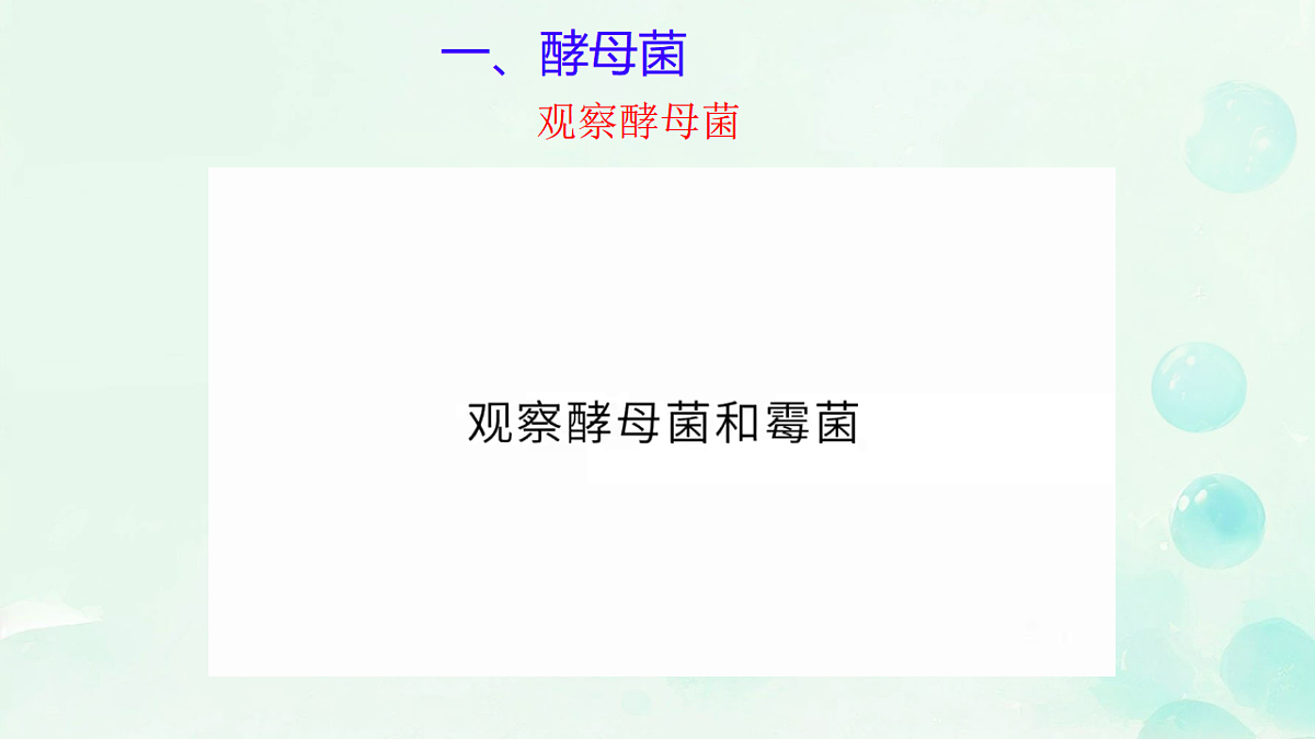 17681850第4页