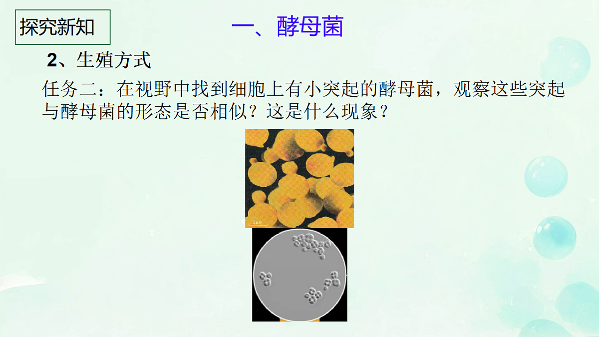 17681850第6页