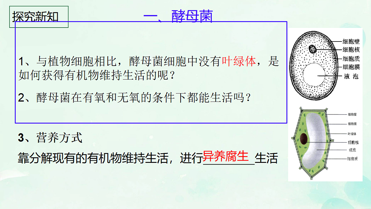 17681850第7页