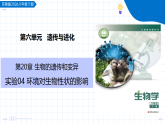 实验04 环境对生物性状的影响（教学课件）-2025-2026学年八年级生物下册（苏教版2024）
