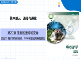 实验03 制作体现染色体、DNA和基因关系的模型（教学课件）-2025-2026学年八年级生物下册（苏教版2024）