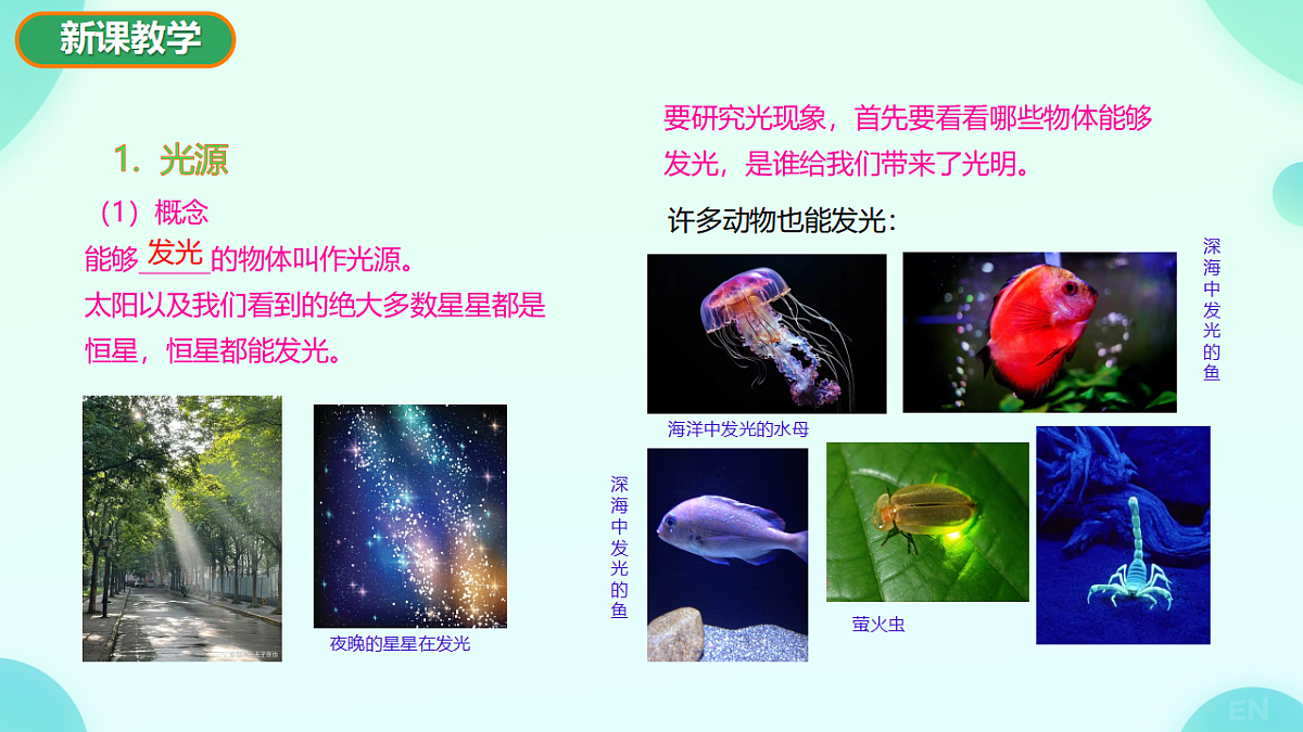17682929第4页
