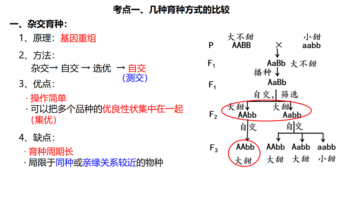 17684310第2页