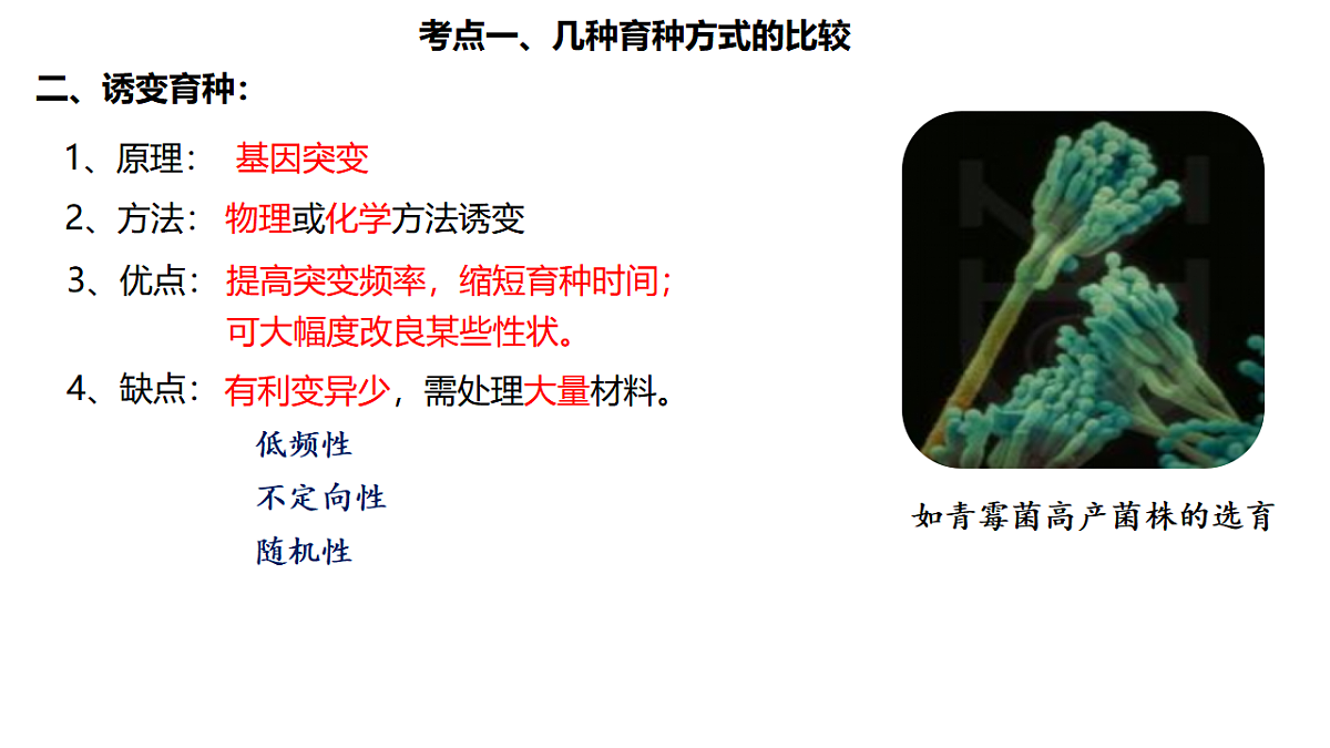 17684310第3页