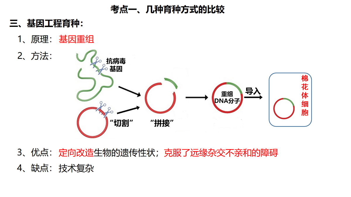 17684310第4页