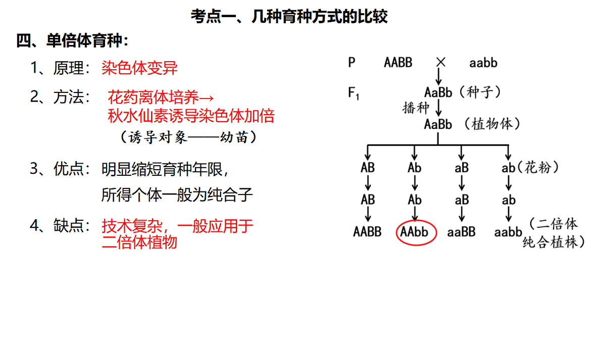 17684310第5页