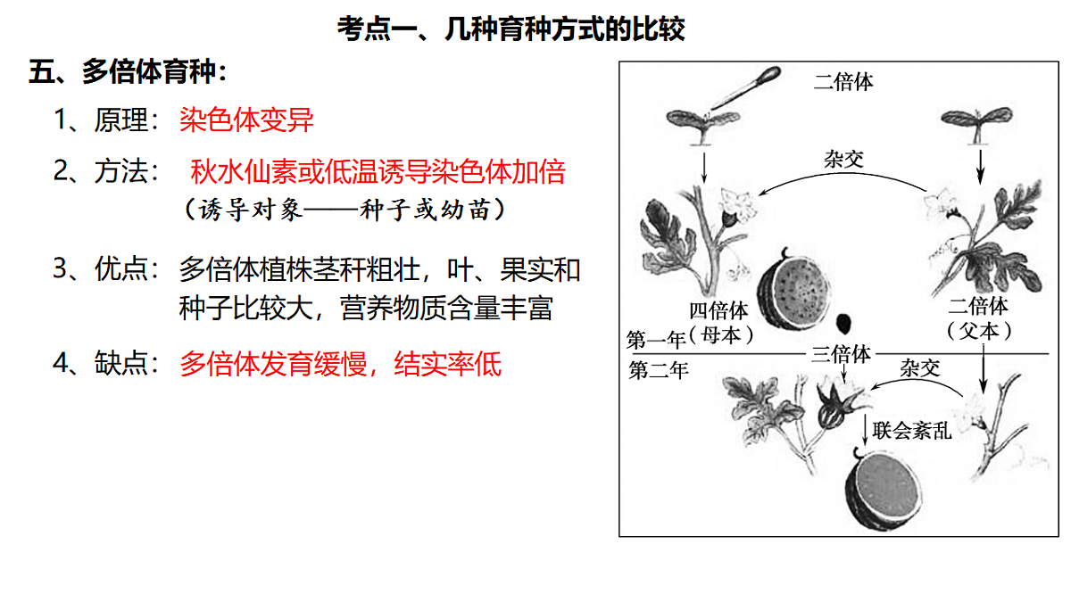 17684310第6页