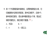 第31章 习题课件2025-2026学年冀教版数学九年级下册31.2.1 随机事件发生的可能性与概率