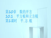 10.1第1课时　平 方 根课件2025-2026学年华师大版八年级数学上册