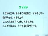 10.1第1课时　平 方 根课件2025-2026学年华师大版八年级数学上册