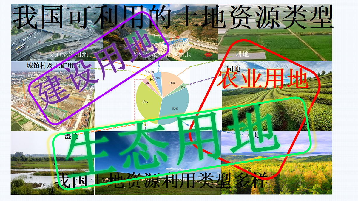 17687202第7页