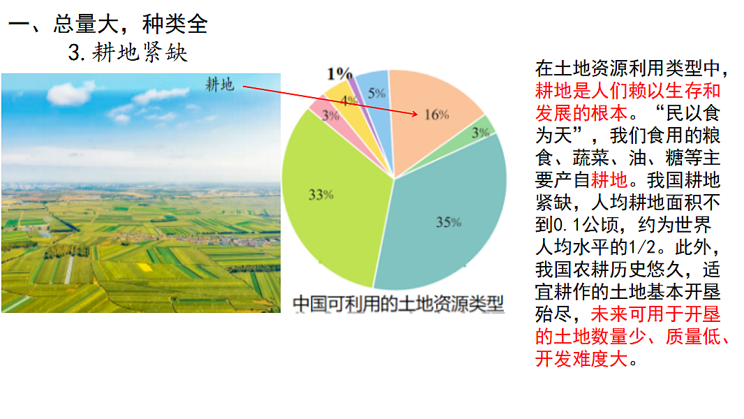 17687203第5页