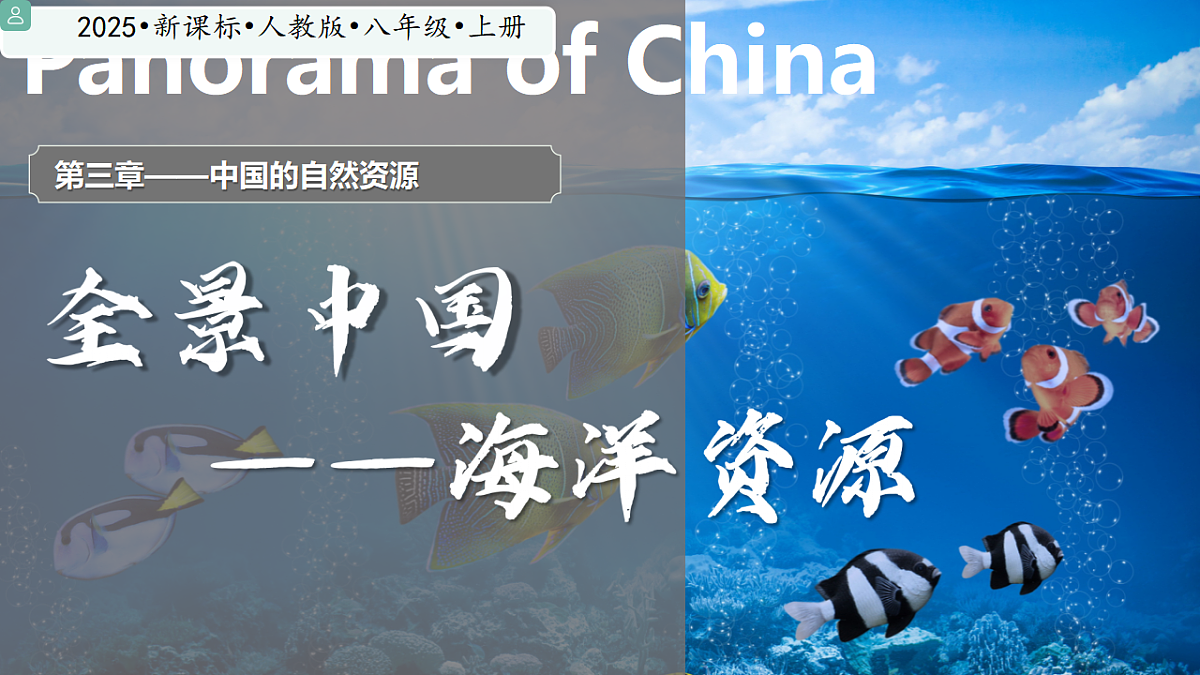 17687441第1页