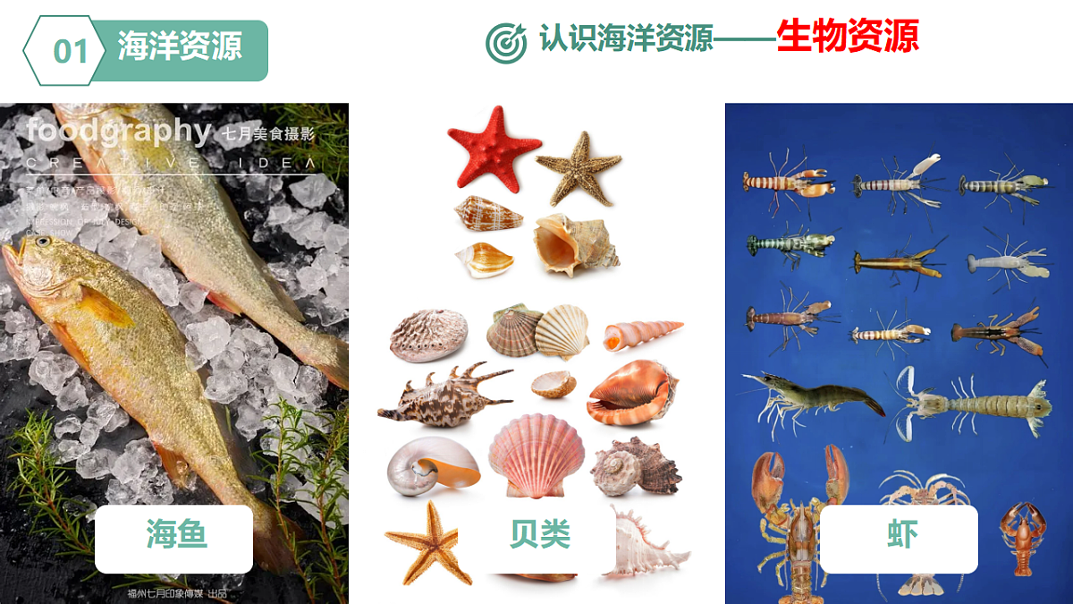 17687441第7页