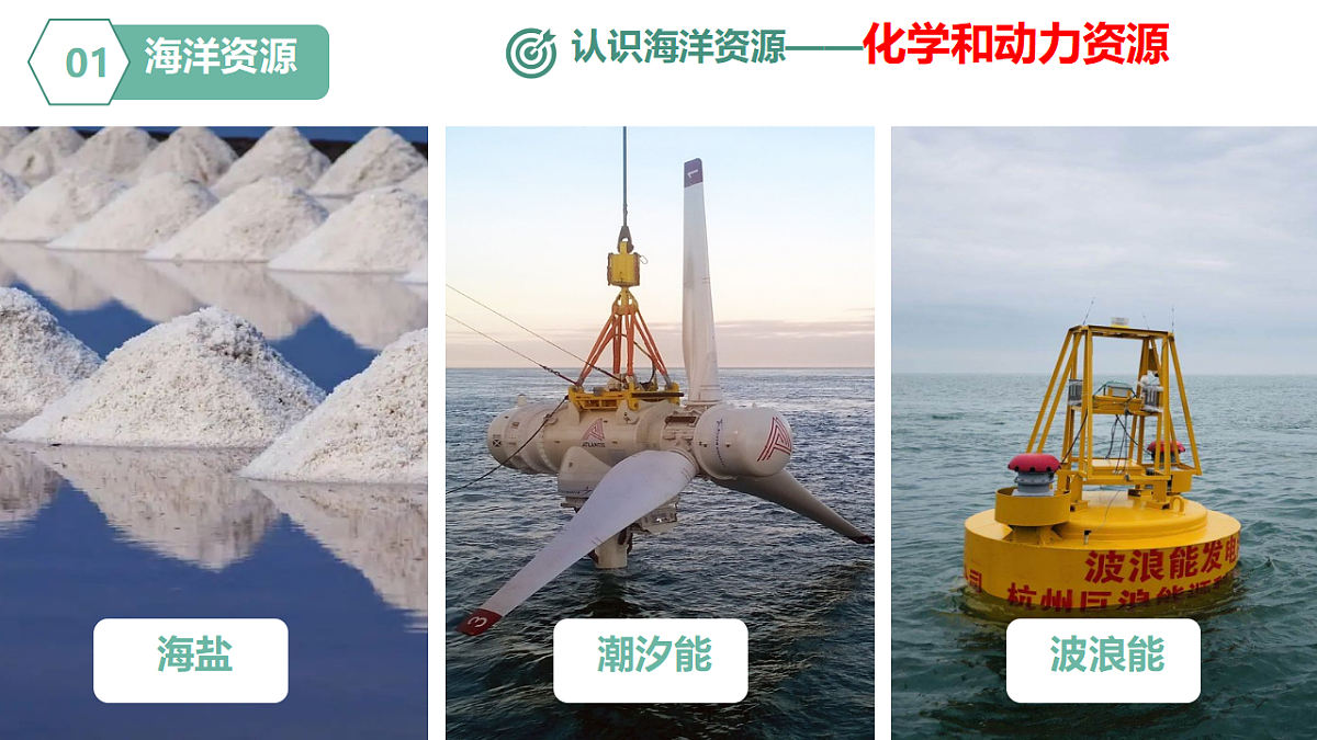 17687441第8页
