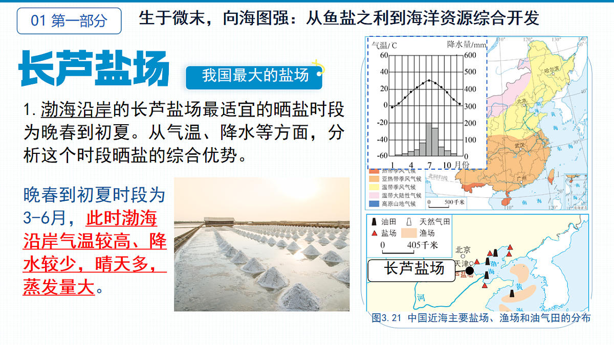 17687442第7页