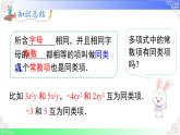 2.4.1同类项（课件）2025-2026学年2024华东师大版七年级数学上册课件