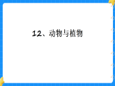 12.动物与植物 小学科学苏教版2024一年级下册课件
