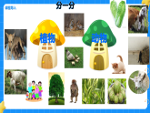 12.动物与植物 小学科学苏教版2024一年级下册课件