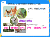 12.动物与植物 小学科学苏教版2024一年级下册课件