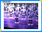 12.动物与植物 小学科学苏教版2024一年级下册课件