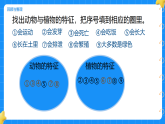 第四单元动物与植物单元小结 小学科学苏教版2024一年级下册课件