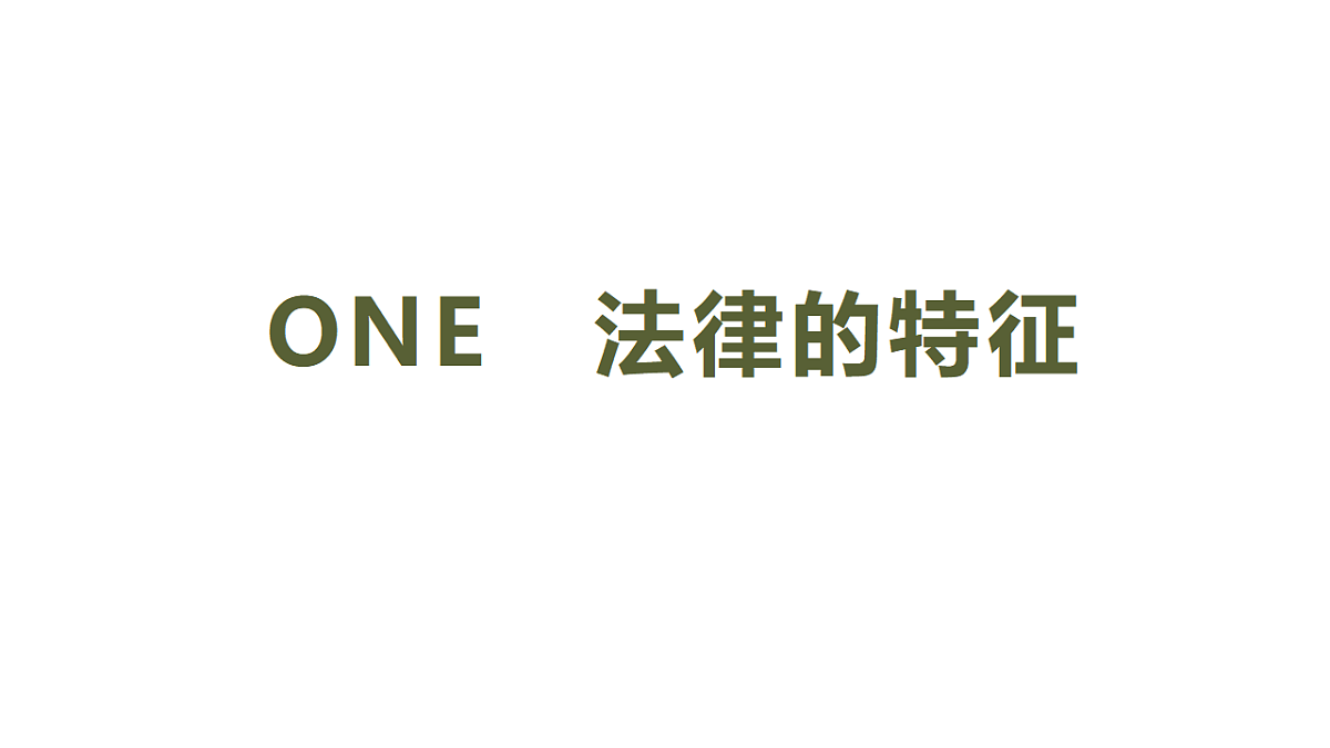 17691196第4页