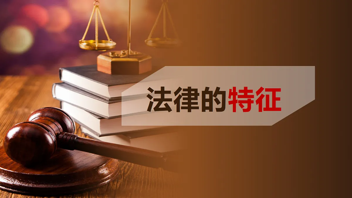 17691200第3页