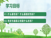 2025新教材人教版生物八年级下册6.2.1基因与生物性状的关系课件+教案+导学案