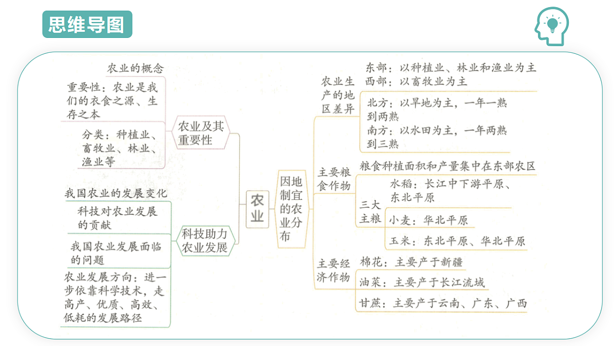 17691607第3页