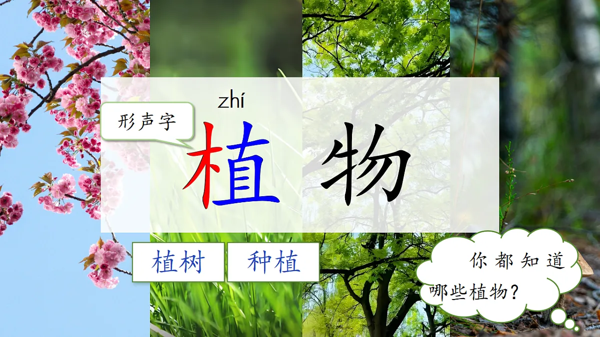 1.《植物妈妈有办法》ppt课件第3页