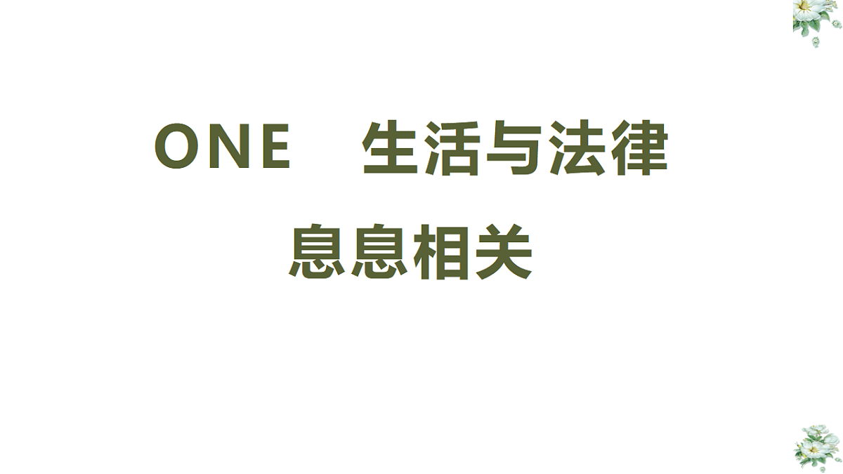 17692168第3页