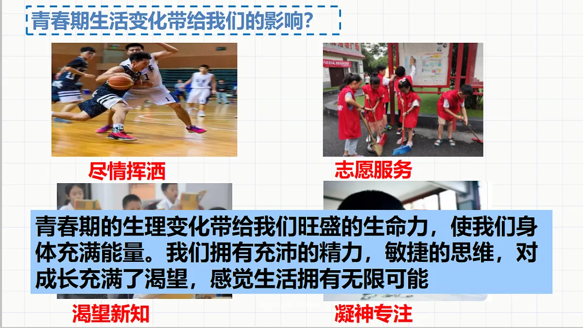 17692484第8页