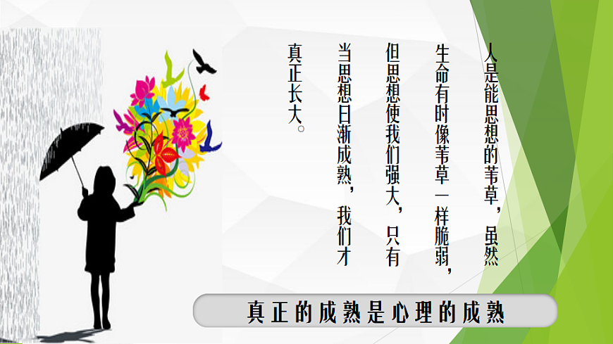 17692485第6页