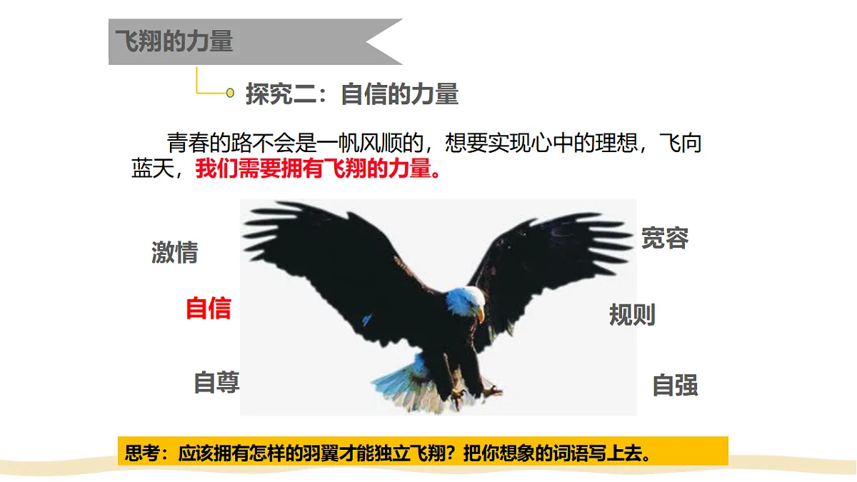 17692490第8页