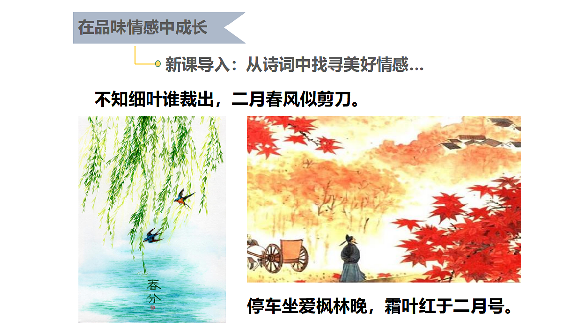 17692499第2页