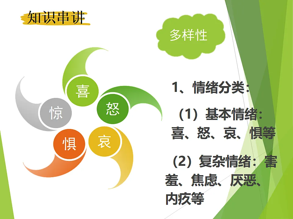 17692501第3页