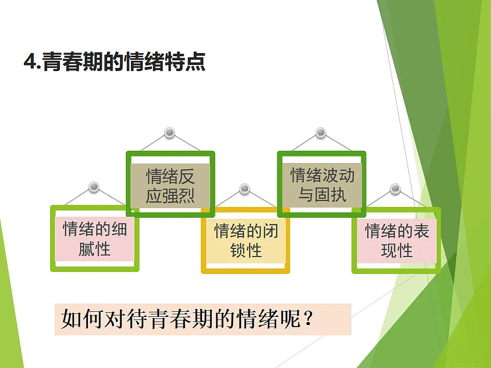 17692501第5页